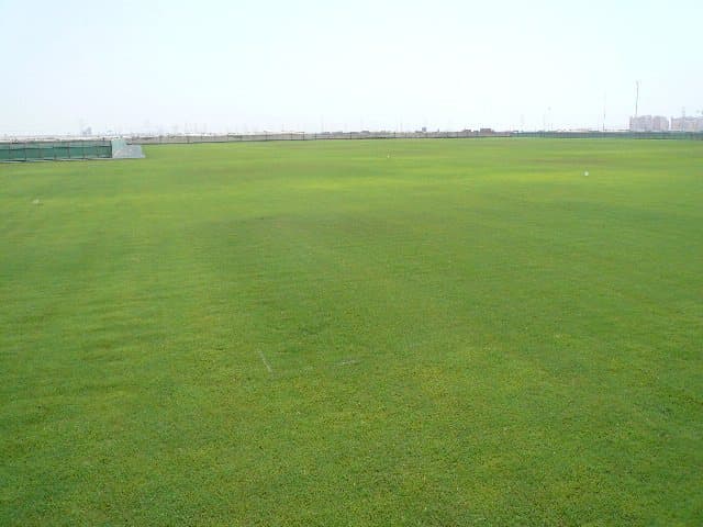 A wide, uniformly green turf sward under a hazy Gulf sky