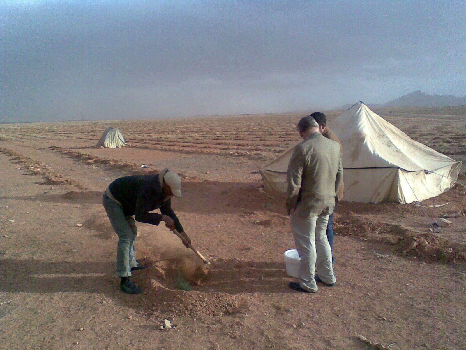 Planting the UNIDO forestry trial at Mouloudah, Bouarfa, eastern Morocco.
