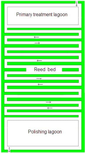 Plan of a reed bed treatment system with primary lagoon, serpentine reed bed and polishing lagoon